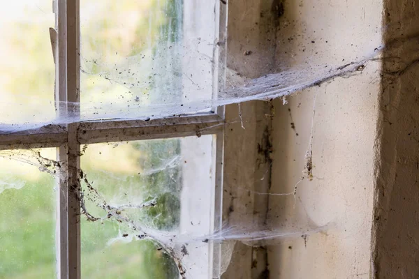 Nahaufnahme Alter Spinnweben Einem Fenster Eines Verfallenen Gebäudes — Stockfoto