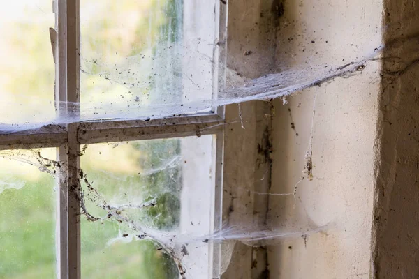 Primer Plano Viejas Telarañas Una Ventana Edificio Abandonado —  Fotos de Stock