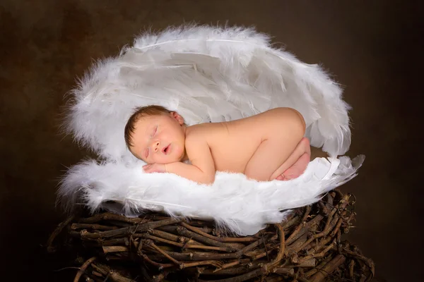 Schlafendes Baby und Engelsflügel — Stockfoto