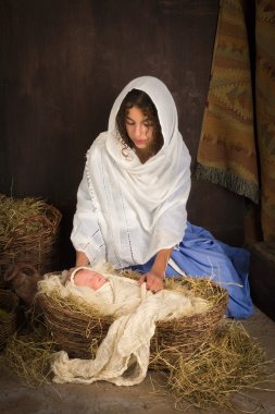 Noel nativity bebek