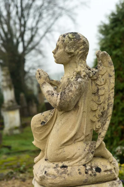 Kis temető angyal — Stock Fotó