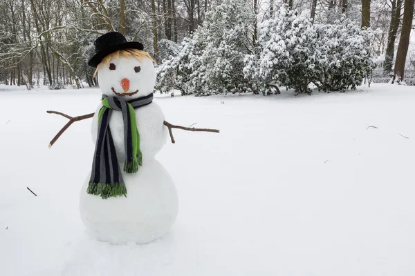 Сніговик з капелюхом — стокове фото