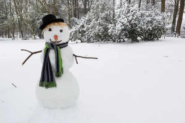 Schneemann mit Hut — Stockfoto