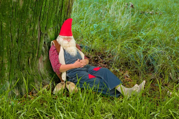 Forest gnome sleeping — Stock Photo, Image