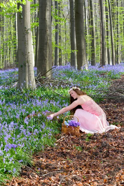 Chica recogiendo flores silvestres — Foto de Stock