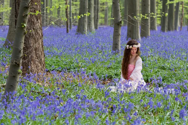 Dream fairy in bluebells woods — Stock Photo, Image