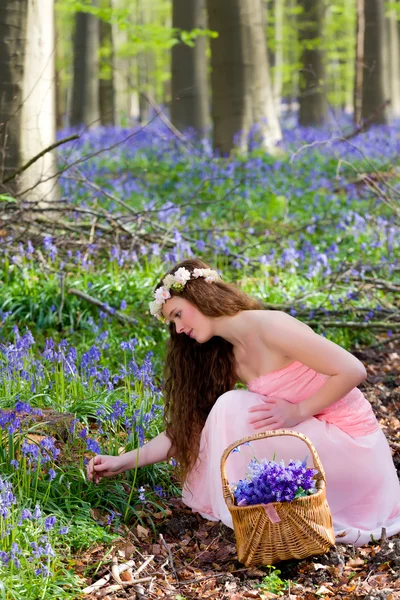 Recogiendo flores silvestres de primavera — Foto de Stock