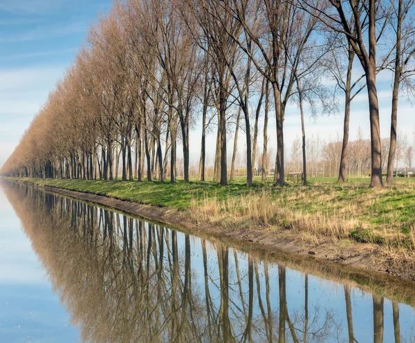 Дамсе-варт-канал близ Брюгге — стоковое фото