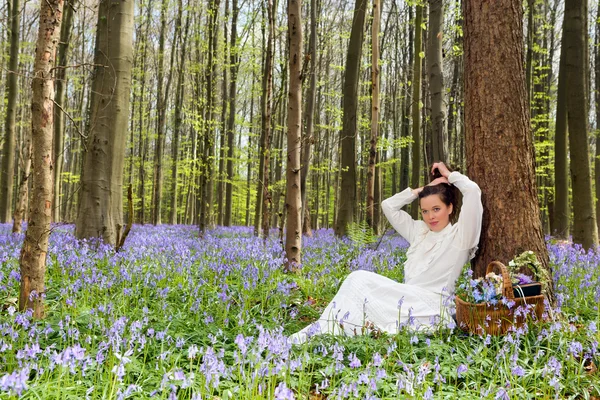 Skönhet i bluebells skog — Stockfoto