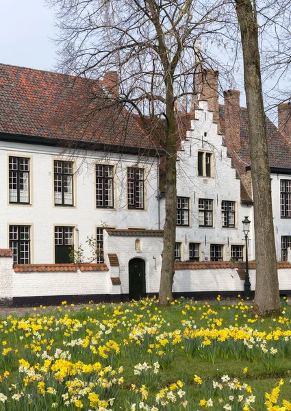 Brujas seducen en primavera. —  Fotos de Stock