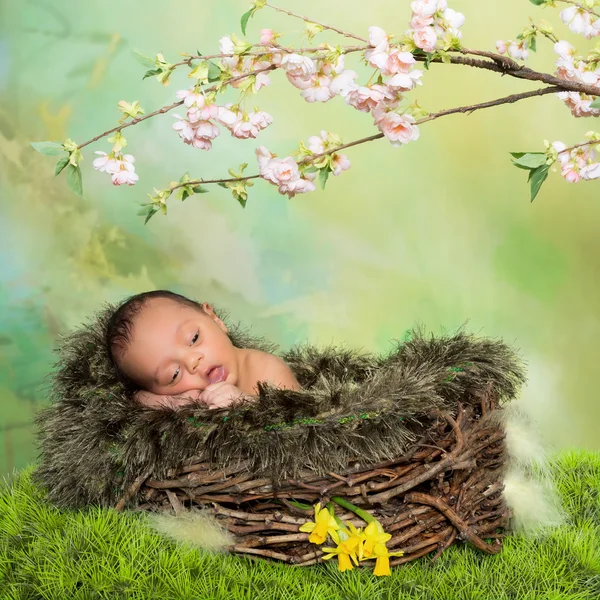 Springtime nyfött barn — Stockfoto