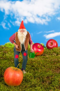 Bahçe gnome ile sulama olabilir