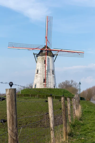 Windmill of Damme in Flanders — Stock Photo, Image