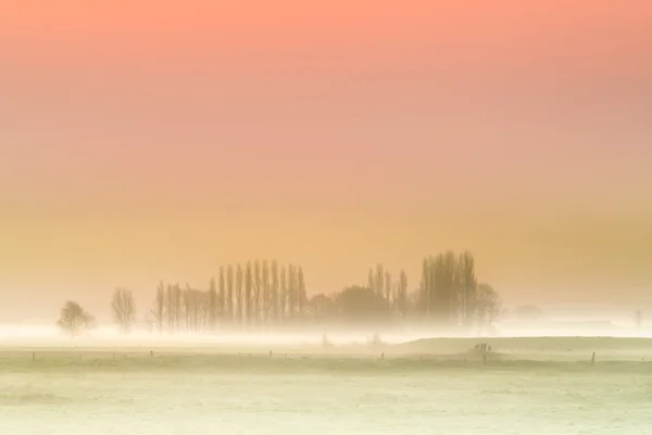 Туманный фон рассвета — стоковое фото