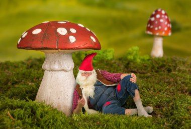 Tembel Bahçe gnome altında mantarı