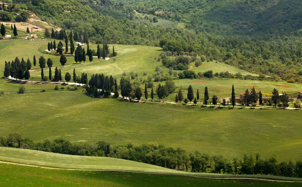 Tuscan winding roads — Stock Photo, Image