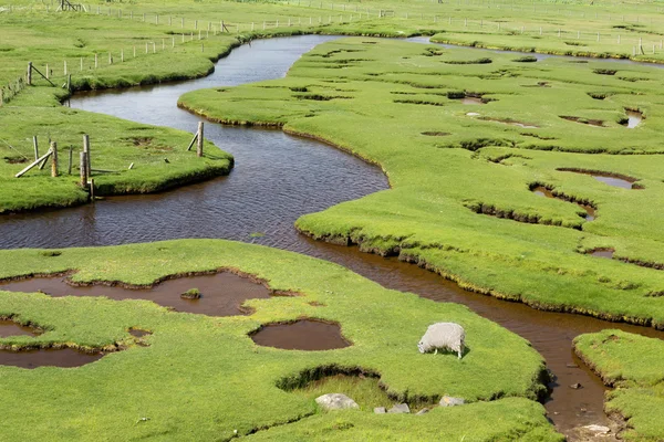 Tidal inlets or saltings on Harris — Stock Photo, Image