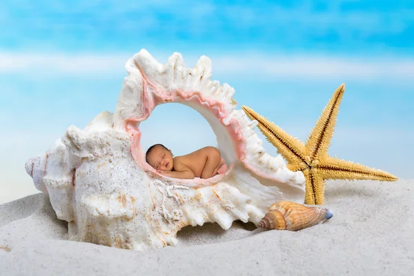 Baby i seashell — Stockfoto