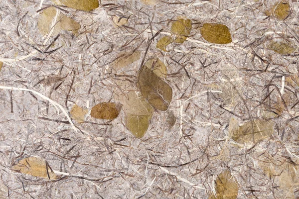 Textura de papel fundo com folhas — Fotografia de Stock