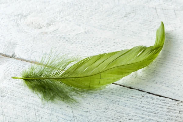 Green feather on rustic wood — Stock Photo, Image