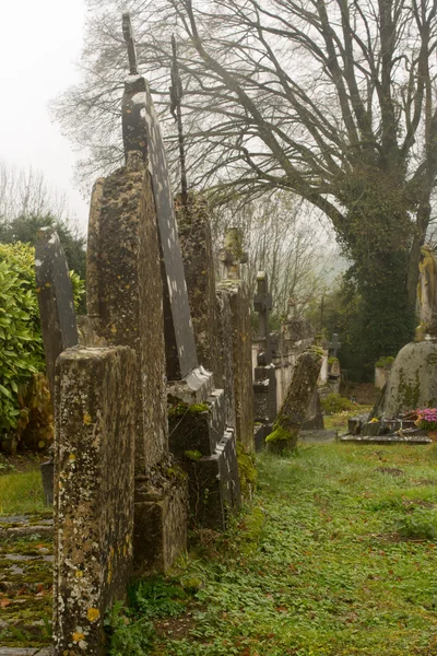 Ivy and moss on tombstones — Stock Photo, Image