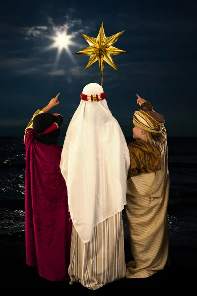 Weihnachtsstern und Weisen — Stockfoto