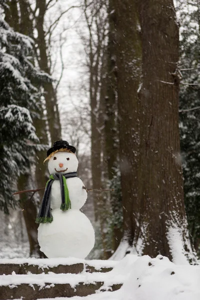 Bonhomme de neige bienvenue dans le parc — Photo