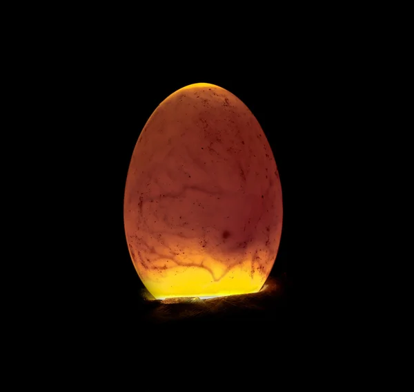 Παπάκι μέσα αυγό — Φωτογραφία Αρχείου