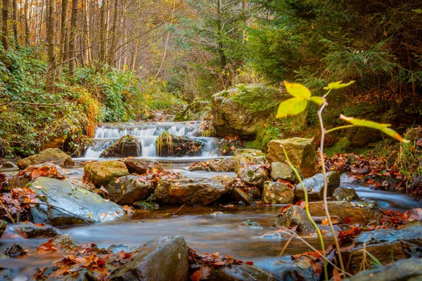 滝と秋の森と川のシーン 長時間露光 季節の波と暖かい雰囲気 自然の美しさ 場所スパ アルデンヌベルギー — ストック写真