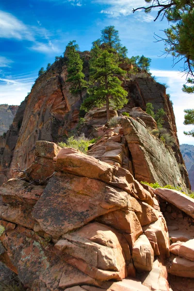 Utah, ABD 'deki Zion Ulusal Parkı' ndaki Angels Landing 'de yürüyüş parkurunda. Seyahat ve turizm.