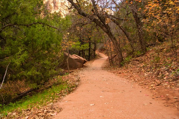 Vista Sendero Senderismo Parque Nacional Zion Utah Estados Unidos Viajes — Foto de Stock