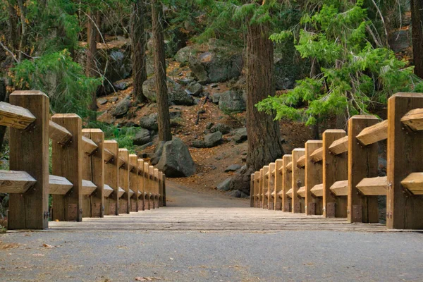 Puente Madera Que Conecta Las Costas Naturaleza Parque Nacional Vista — Foto de Stock