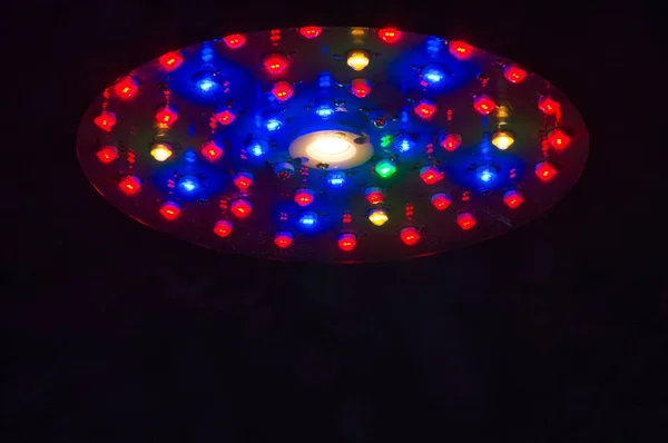 LED tam spektrumlu büyüyen ışıklar kapalı alanda büyüyen bitkiler için kullanılır.