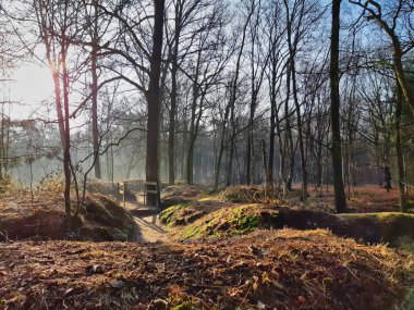 Belçika 'nın Mastenbos Kapellen kentindeki Flanders Fields' in Birinci Dünya Savaşı siperlerine bakın. Sisli kış sabahı.
