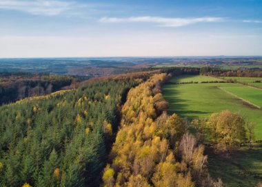Aerial of pine forest and meadow and pasture in the Ardennes, Belgium. Beauty in nature. clipart