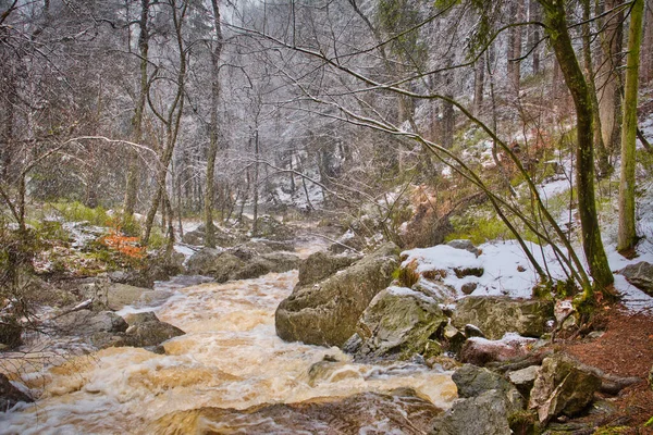 Belçika, Jalhay 'da Hoegne vadisi ve nehir yürüyüş parkuru. Ardennes 'in güzelliği Bulutlu bir günde kar yağışıyla.