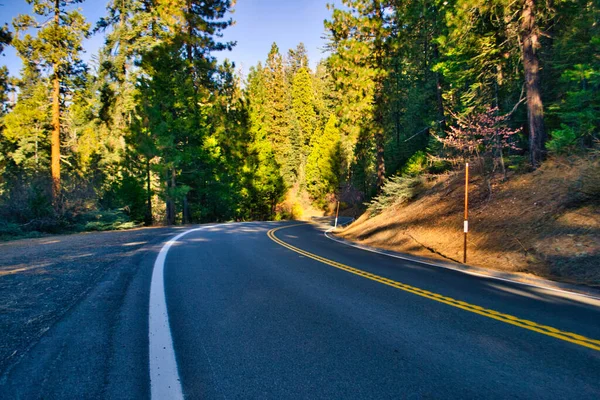 Strada Montagna Americana Tortuosa Nella Foresta Vista Angolo Basso — Foto Stock