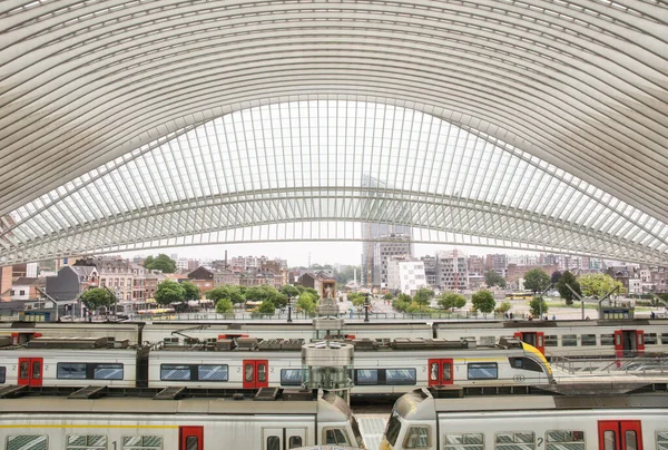 Liege Belgien Juni 2021 Inomhusscen Tågstationen För Belägringsguilleminer — Stockfoto