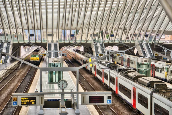Liege Belgien Juni 2021 Inomhusscen Tågstationen För Belägringsguilleminer — Stockfoto