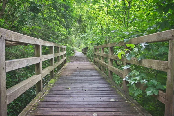 Fabry Ormanında Bir Köprü Belçika Nın Liege Şehrinde Bir Orman — Stok fotoğraf
