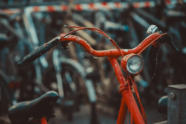 Sint-Niklaas, Belçika, 23 Şubat 2025: Arka farlı, yıpranmış boya ve örümcek ağlı, kentsel retro modu olan klasik kırmızı bisikletin yakın çekimi.