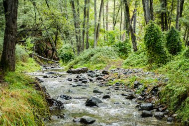 Kıbrıs Rum Kesimi 'nin Troodos dağlarındaki Paphos Ormanındaki Diarizos Nehri manzarası