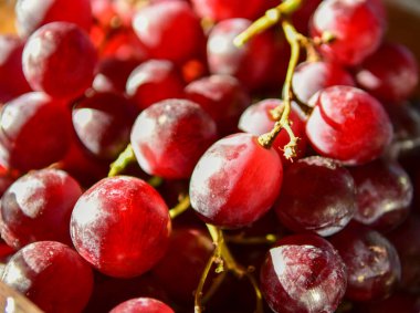 Güney Afrika 'dan kırmızı üzümler