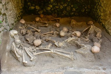 Human skeletons in Boat House at Herculaneum, Italy, a Roman town destroyed by the eruption of Mount Vesuvius in A.D. 79 clipart