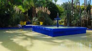 Marakeş, Fas 'taki Majorelle Bahçesi