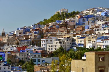 Şef, Fas, tepede tünemiş mavi bir kasabadır.