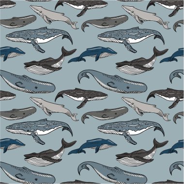 Seamless pattern with  whales
