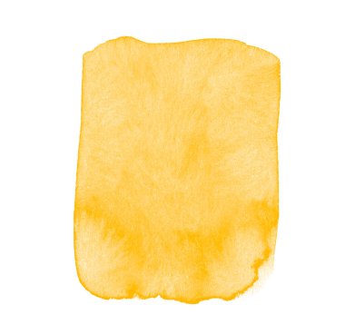 Güzel sarı suluboya beyaz çalılıklarda izole edilmiş