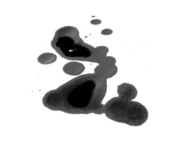 Siyah mürekkep damlaları beyaz arkaplanda izole edildi