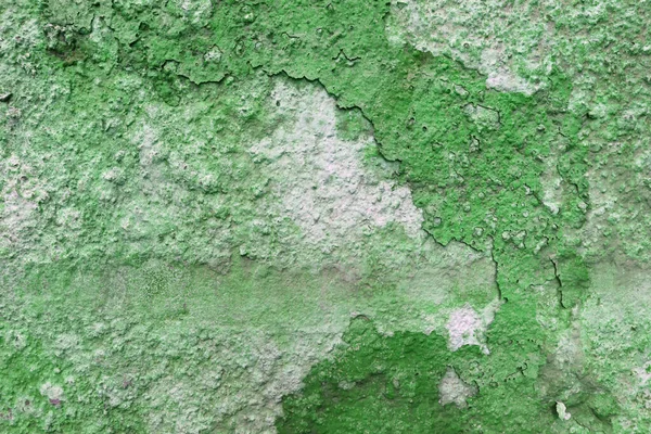 抽象刮破的老式墙壁 混凝土背景上的旧裂缝涂料 — 图库照片